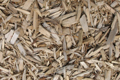 biomass boilers Wrangle